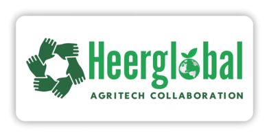 Heerglobal Logo