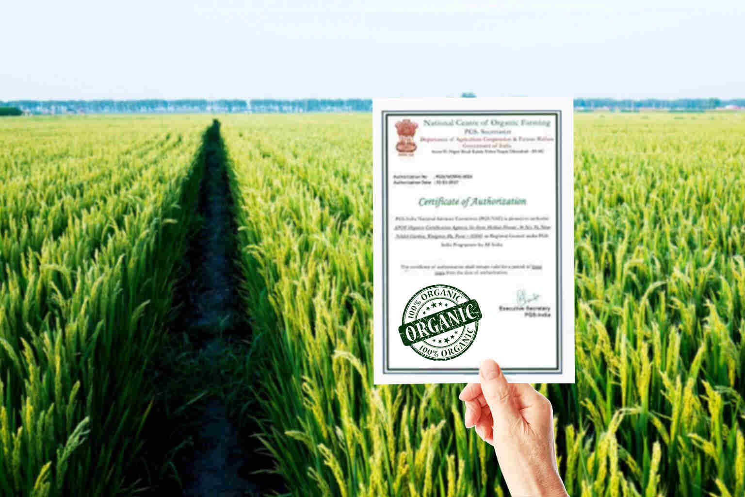 Organic Certificate