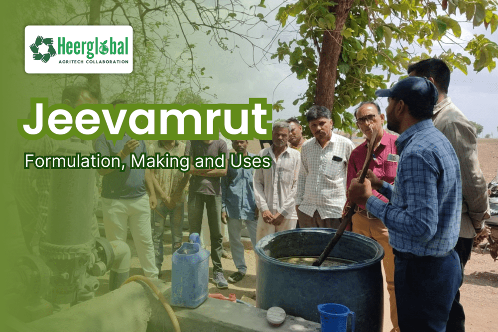 Jeevamrut Formulation Making and Uses