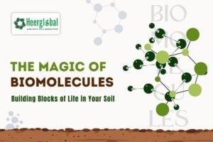 The Magic Of Biomolecules