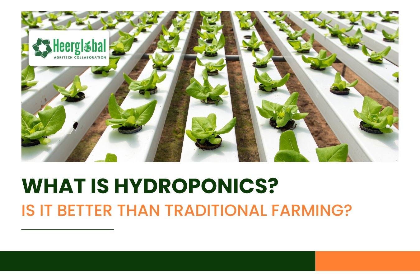 What is Hydroponics