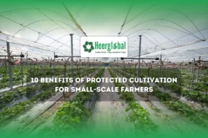 Benefits of Protected Cultivation