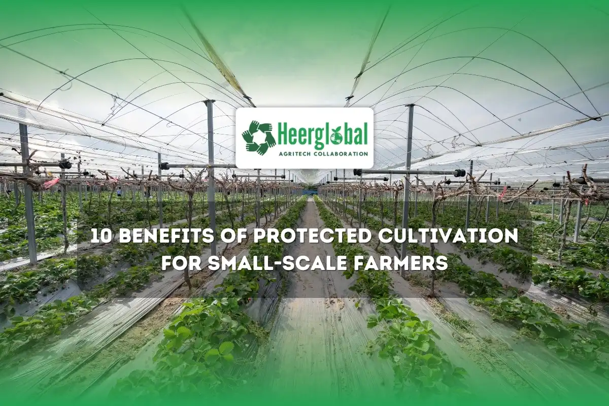 Benefits of Protected Cultivation