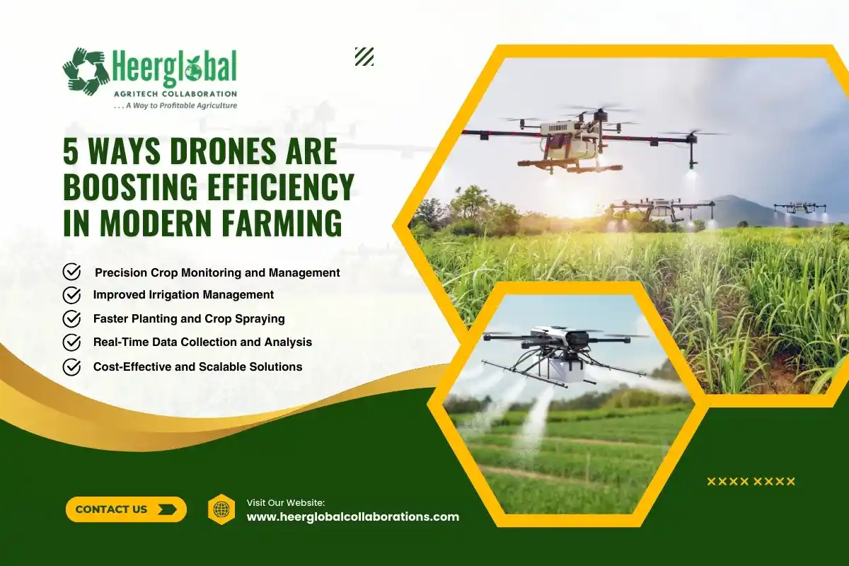 5 Ways Drones Are Boosting Efficiency in Modern Farming